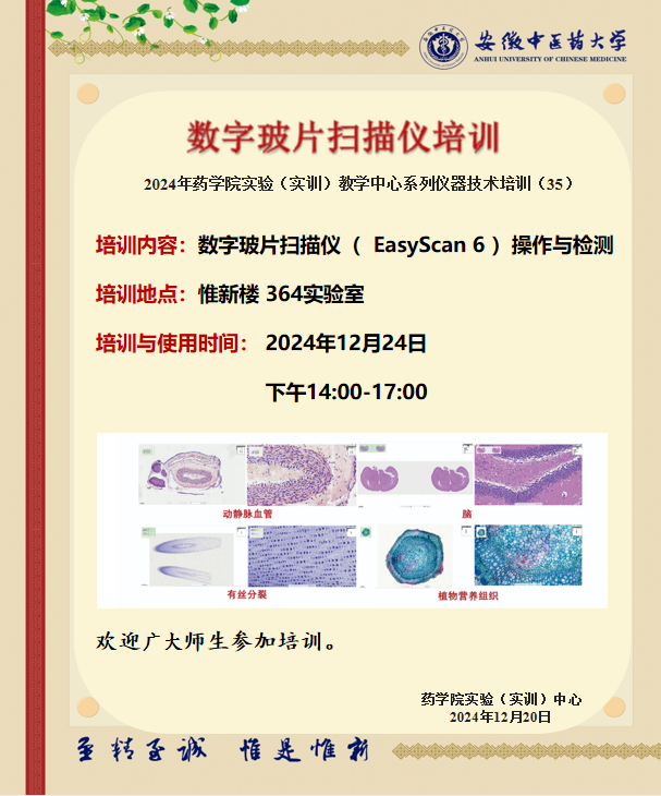 屏幕截图 2024-12-20 221810.png