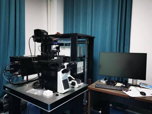 激光共聚焦显微镜 FV3000-406